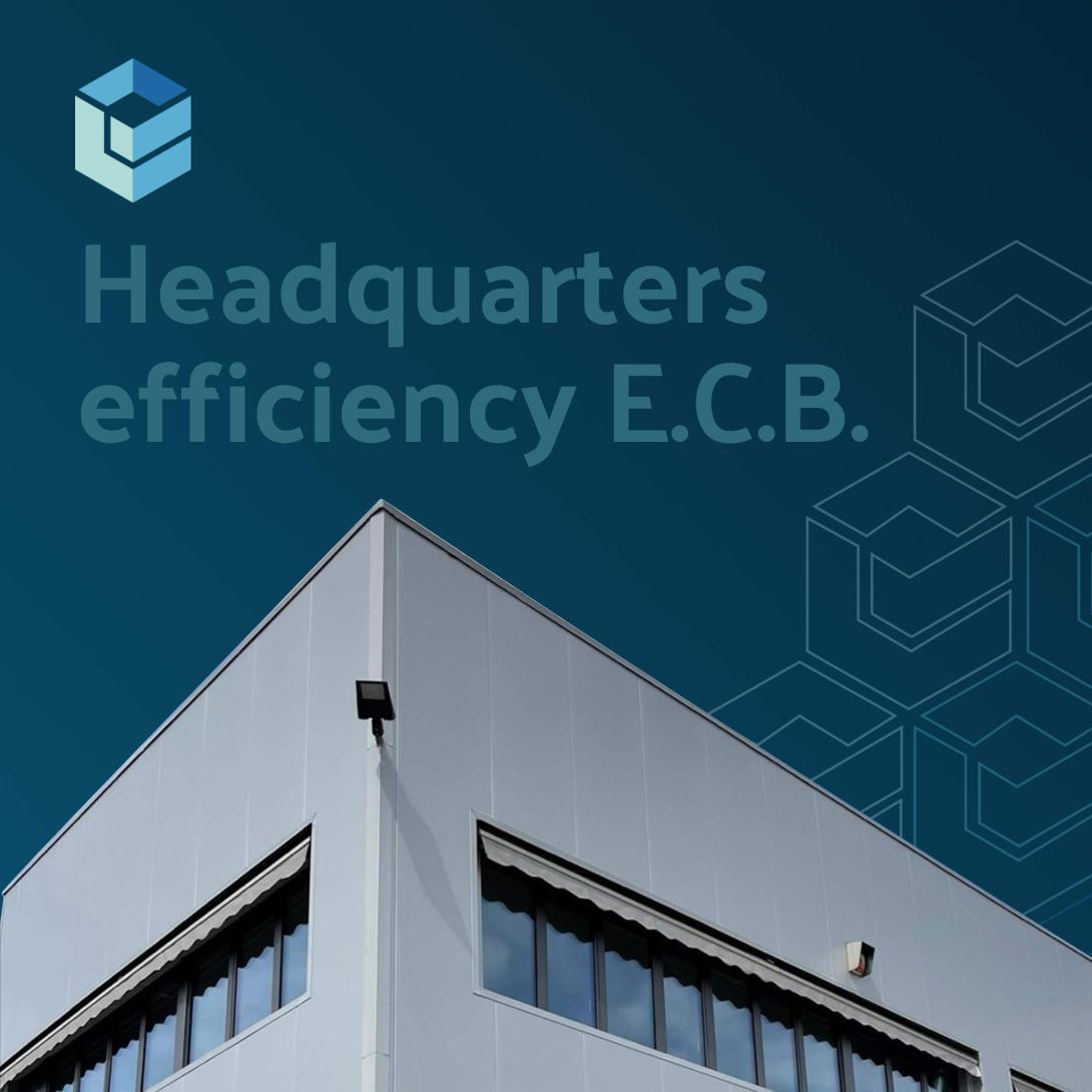 Headquarters efficiency E.C.B